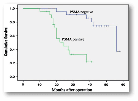 Is there a future for PSMA theranostics in Osteosarcoma?, Isotopia Molecular Imaging Ltd